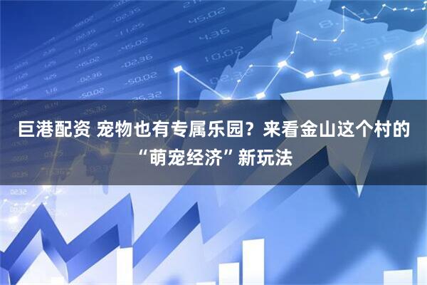 巨港配资 宠物也有专属乐园？来看金山这个村的“萌宠经济”新玩法