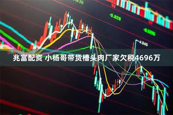 兆富配资 小杨哥带货槽头肉厂家欠税4696万