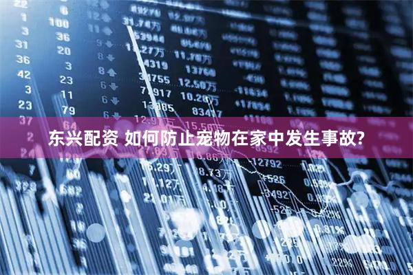 东兴配资 如何防止宠物在家中发生事故?
