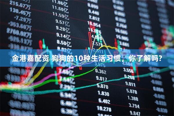金港嘉配资 狗狗的10种生活习惯,你了解吗?